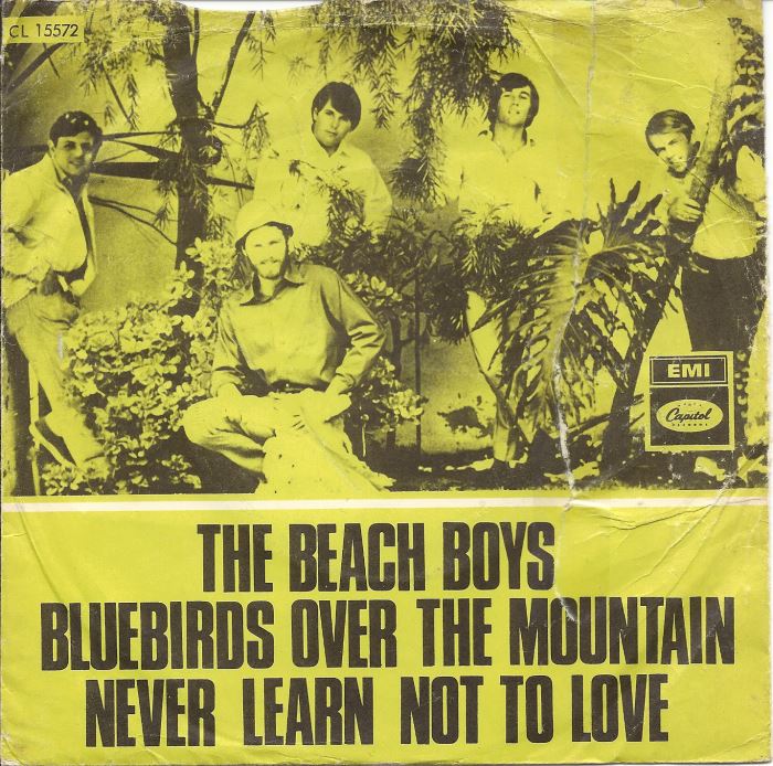 the-beach-boys-never-learn